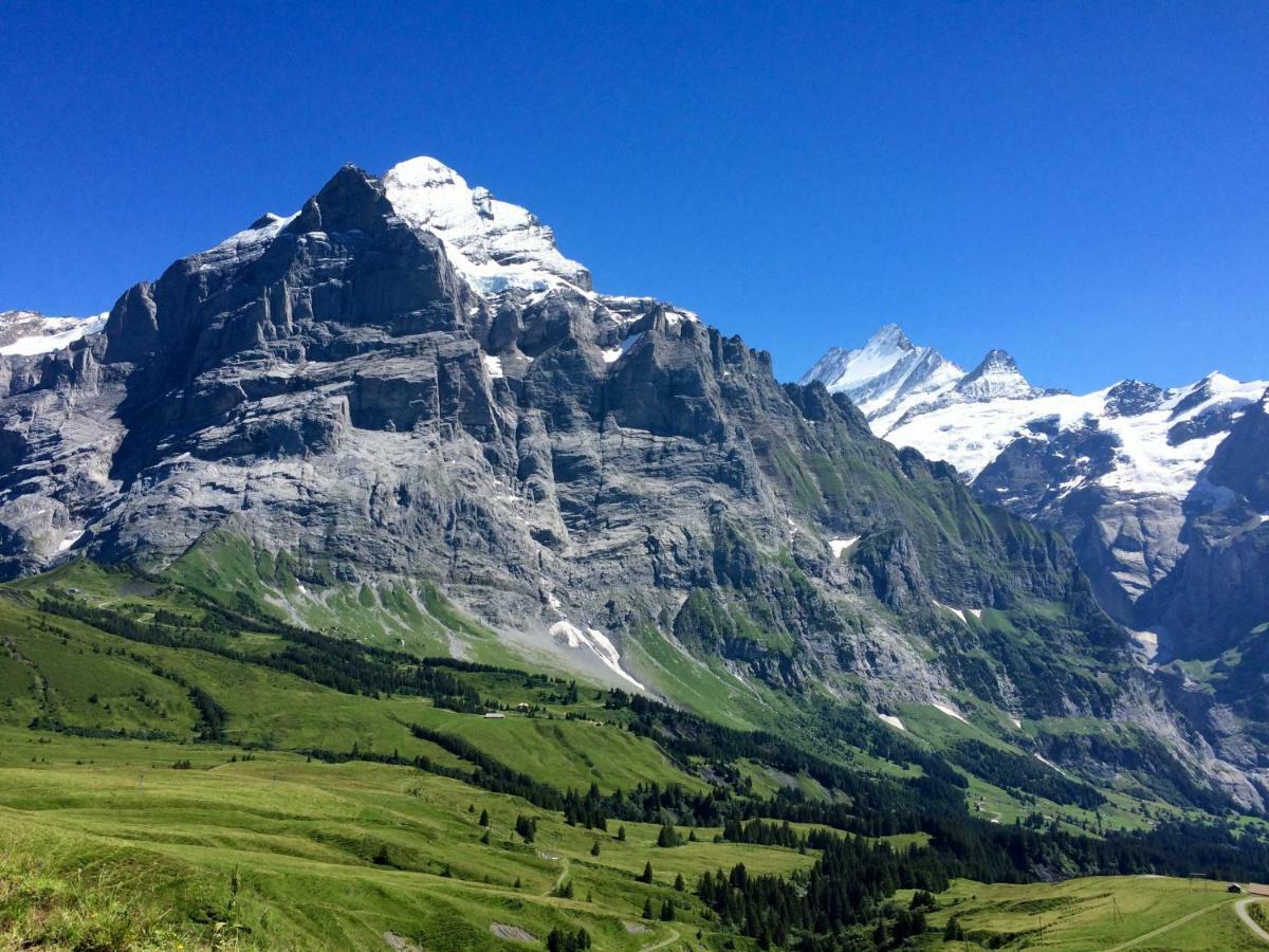 Wetterhorn, Eiger, Jungfrau, Amazing! अपार्टमेंट Grindelwald